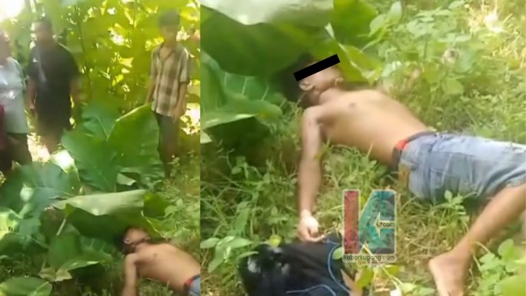 WhatsApp Image 2025-01-11 at 18.34.16